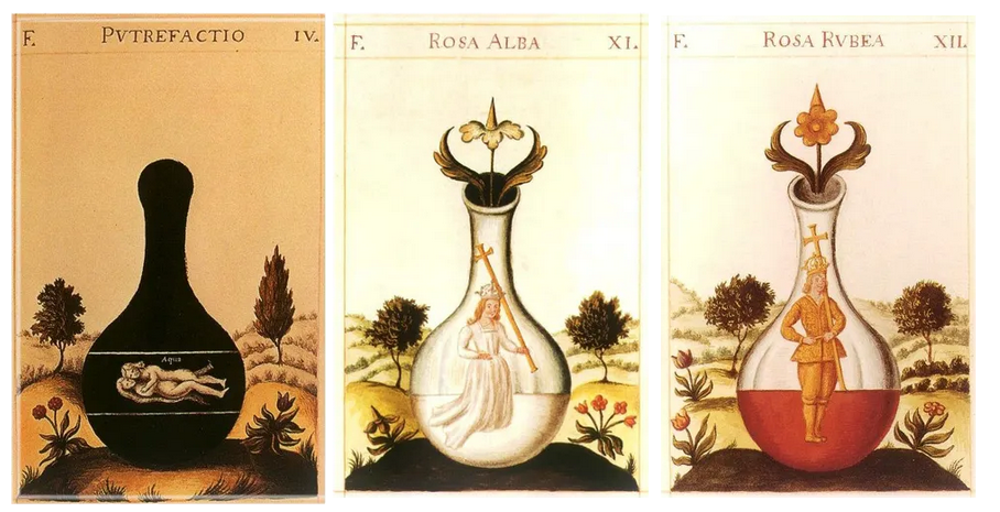 A collection of alchemical symbols, including the Black Eagle (Nigredo), the Phoenix (Rubedo), and the Sun (Sol).